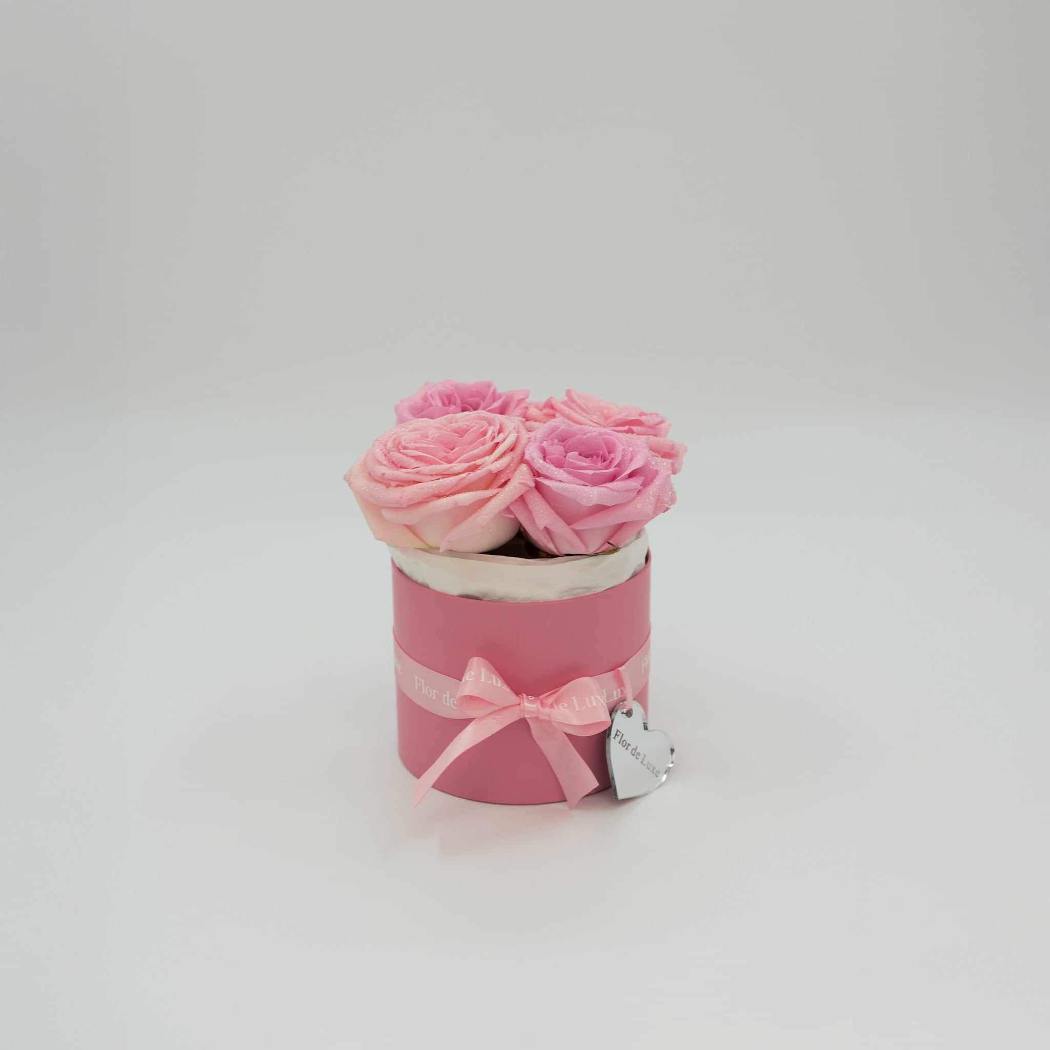 Rosa-size-XS