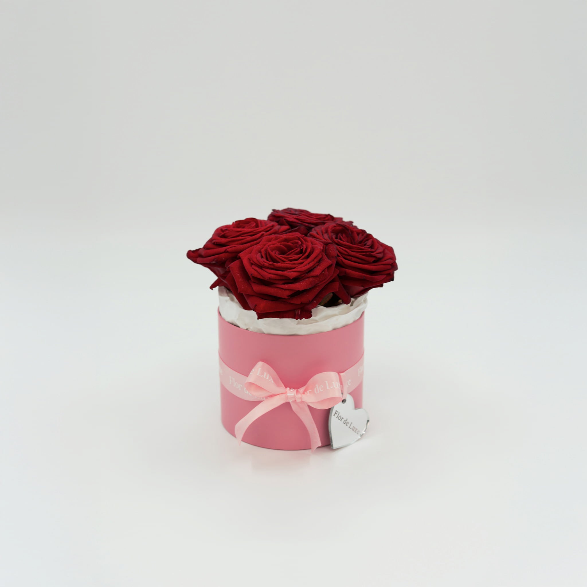 Rot-size-XS