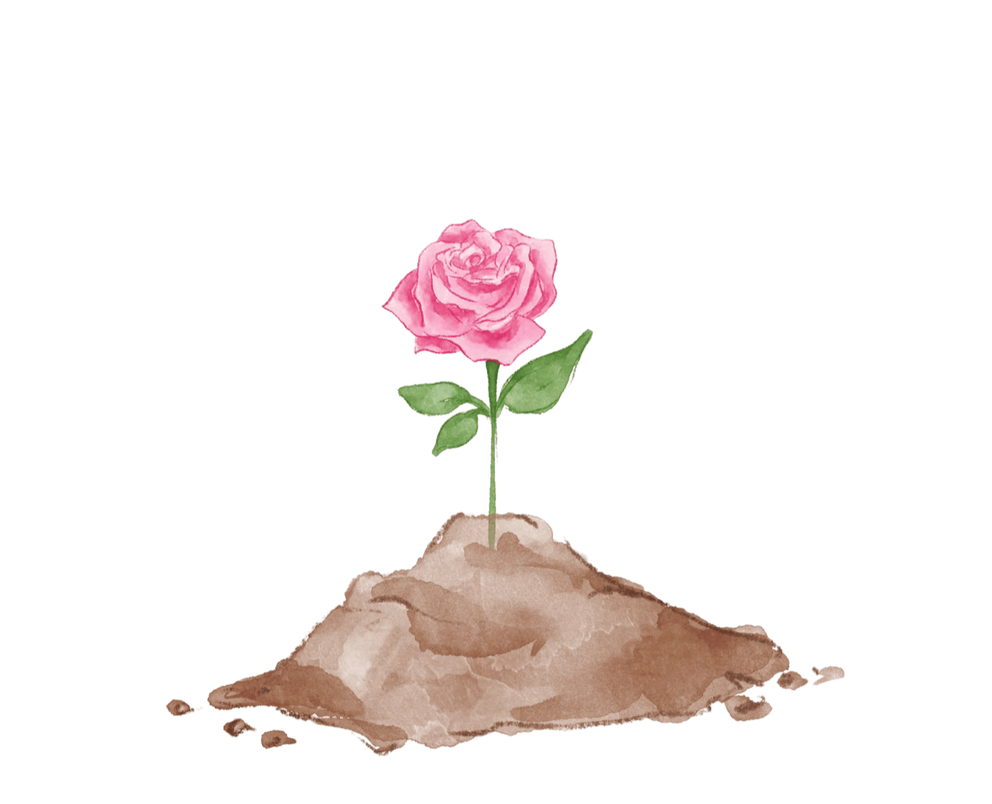 Blume wächst aus Erde – Symbol für direkte Herkunft vom Produzenten