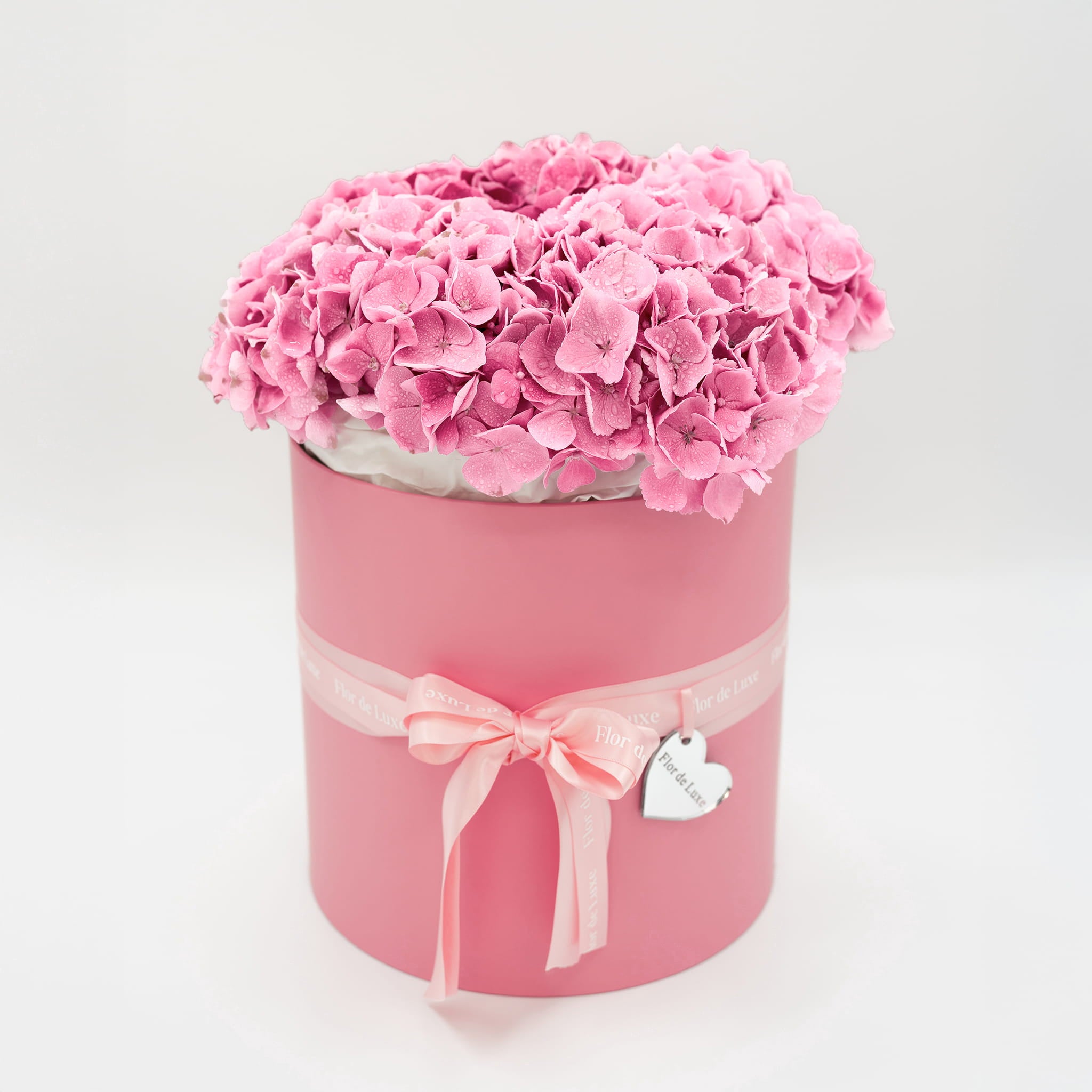 Rosa-size-L