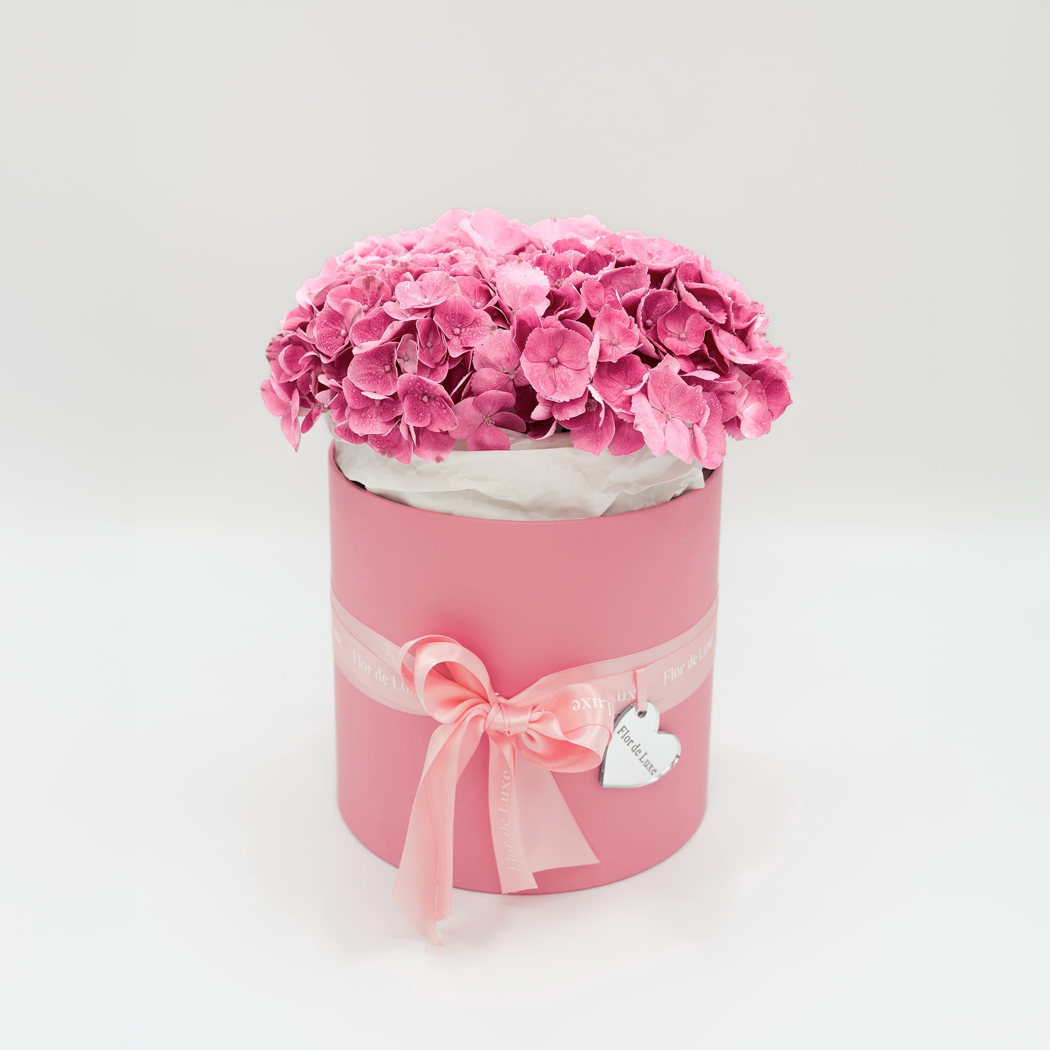 Rosa-size-M