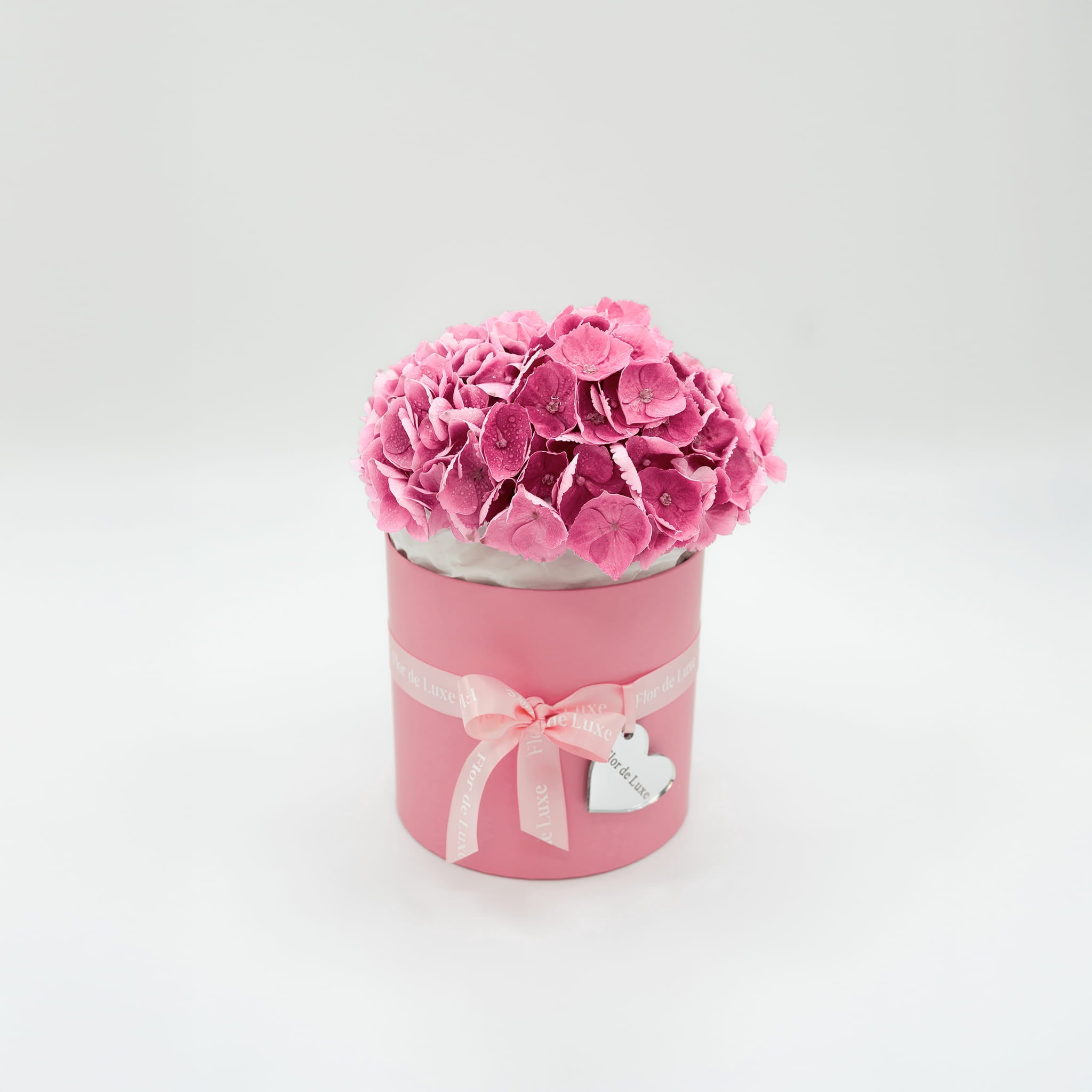 Rosa-size-S