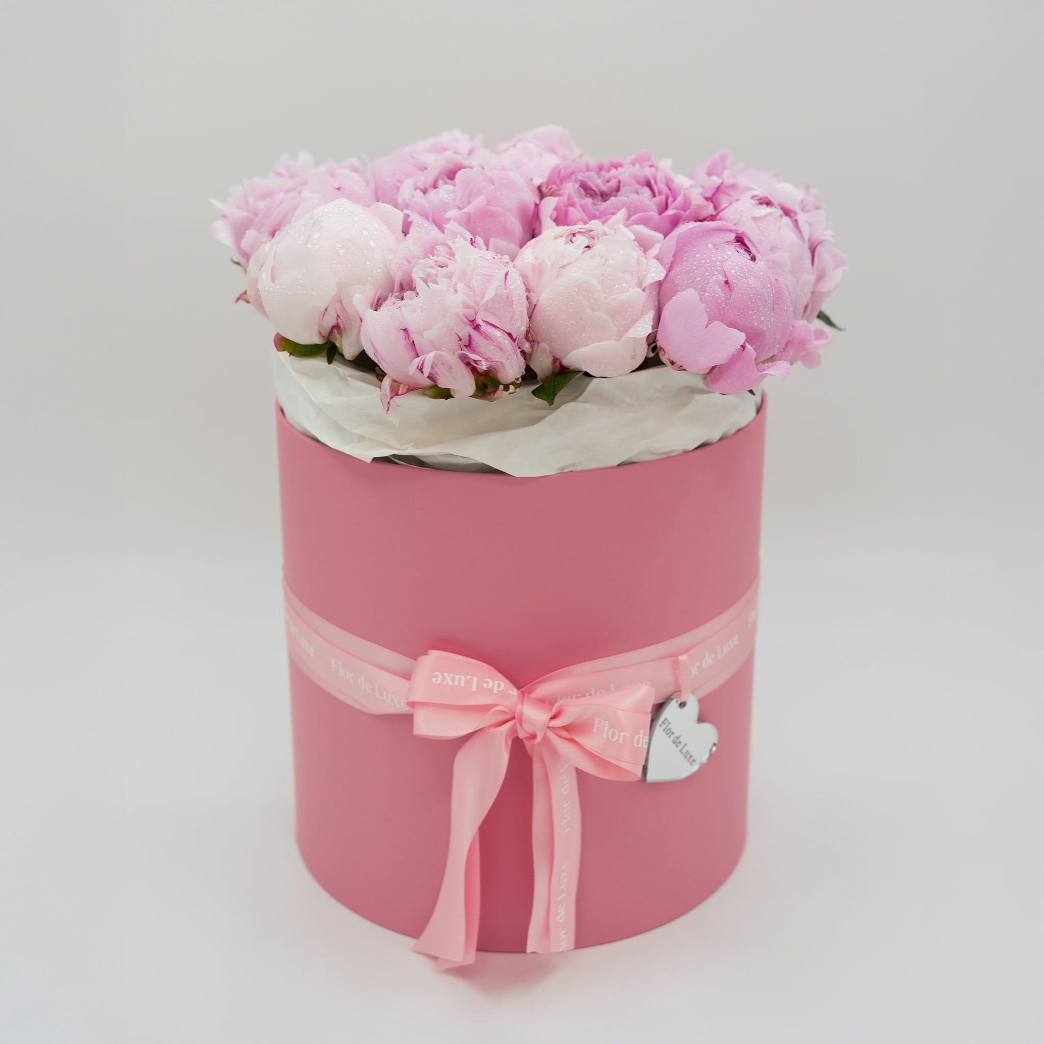 Rosa-size-L
