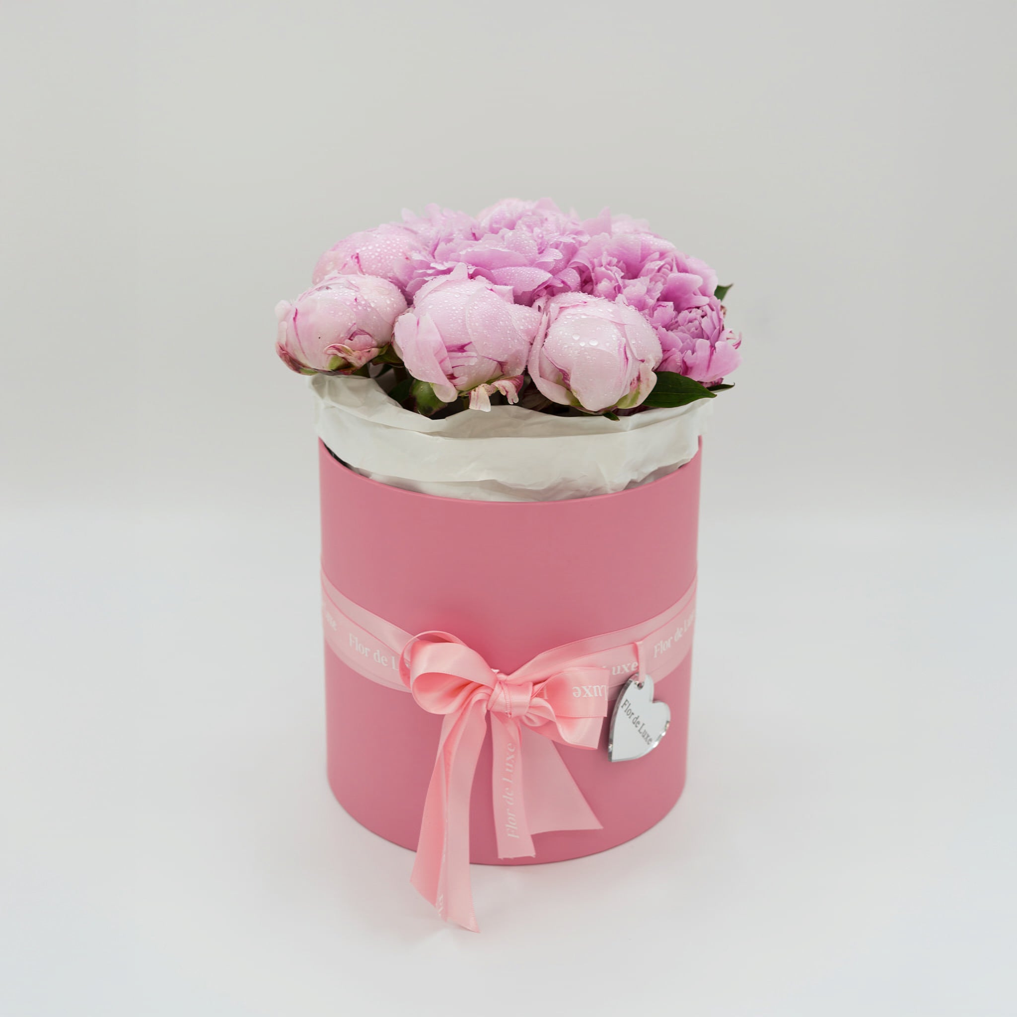 Rosa-size-M