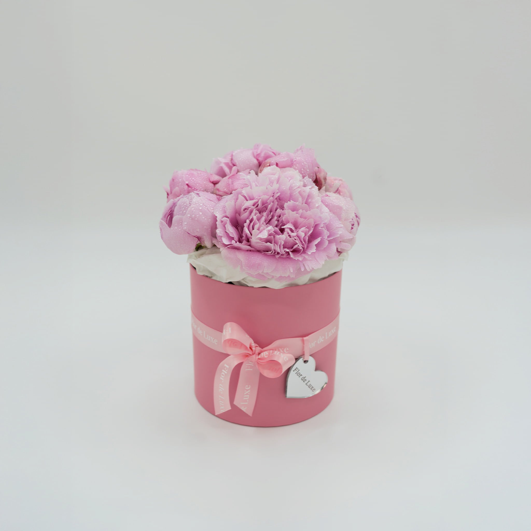 Rosa-size-S