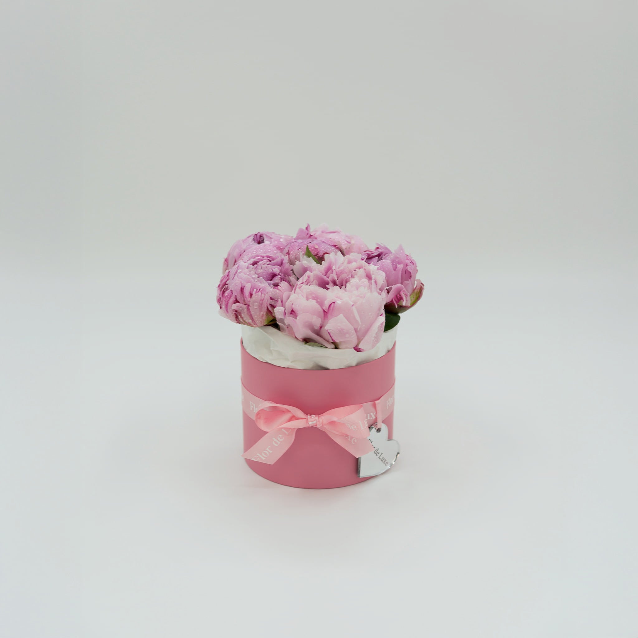 Rosa-size-XS