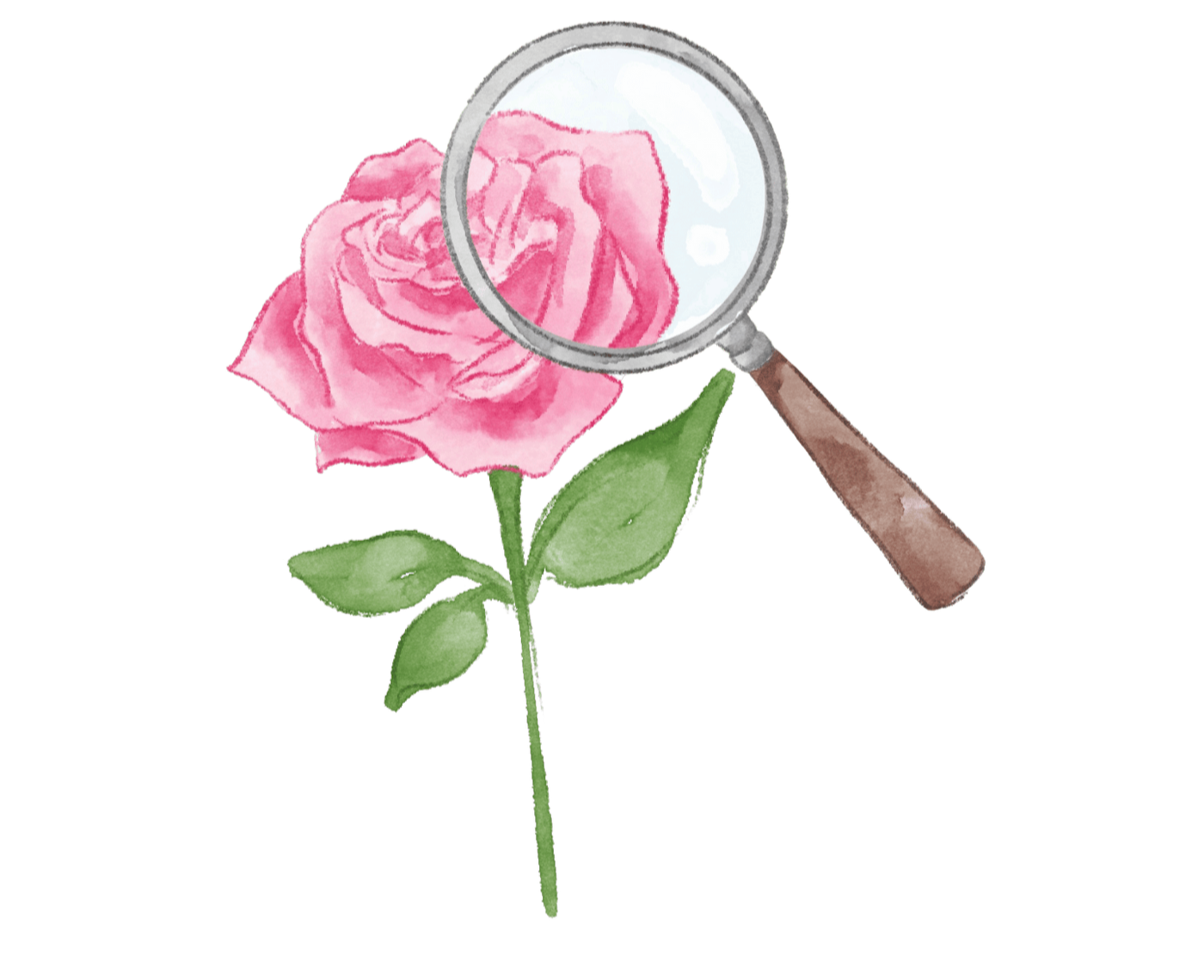 Rose unter Lupe – Symbol für Qualitätskontrolle und Frische